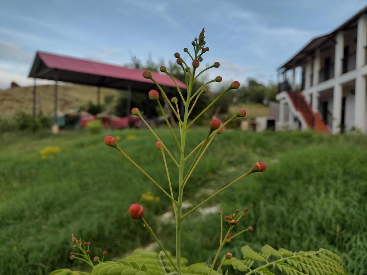 Cosmos Tatacoa Hotel Villavieja Kültér fotó